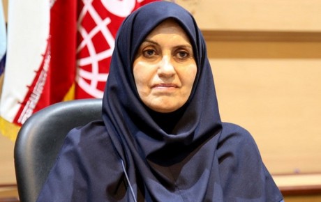 سازمان استاندارد در صنعت خودرو منجر به توقف تولید نمی شود