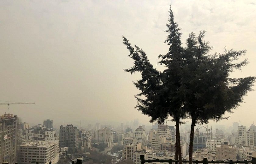 چرا سازمان محیط زیست مخالف تولید سواری‌های دیزلی است؟