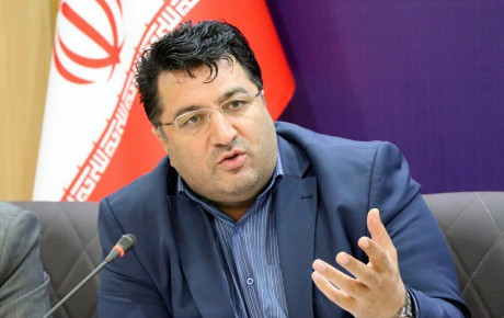 رئیس سازمان حمایت از تدوین دستورالعمل قیمت گذاری خودرو ابراز بی اطلاعی کرد