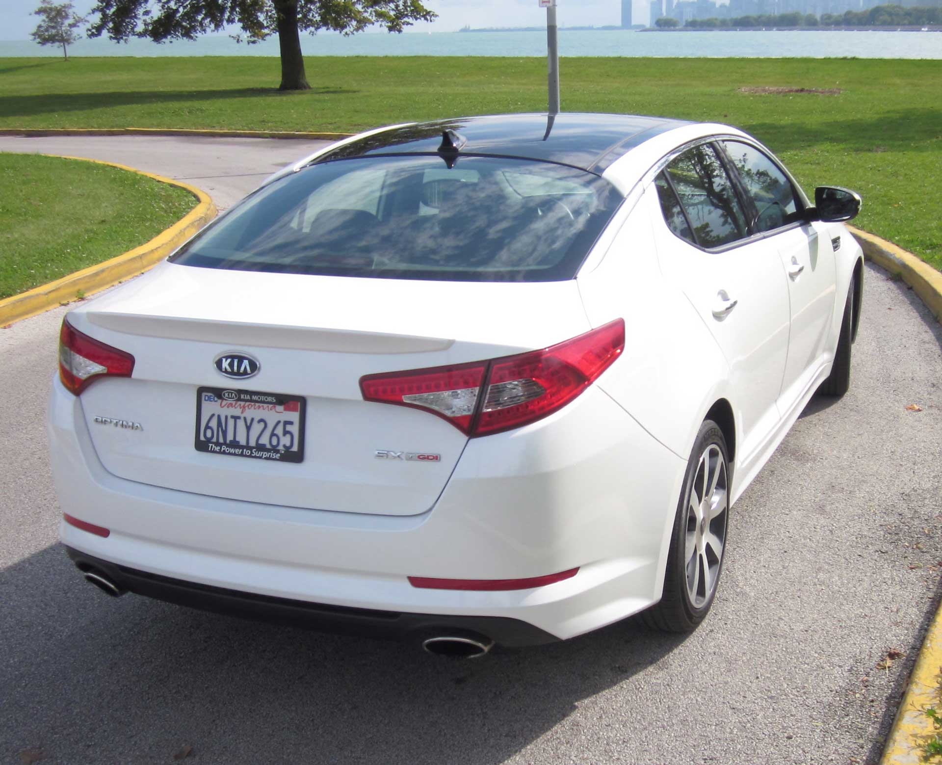 optima back