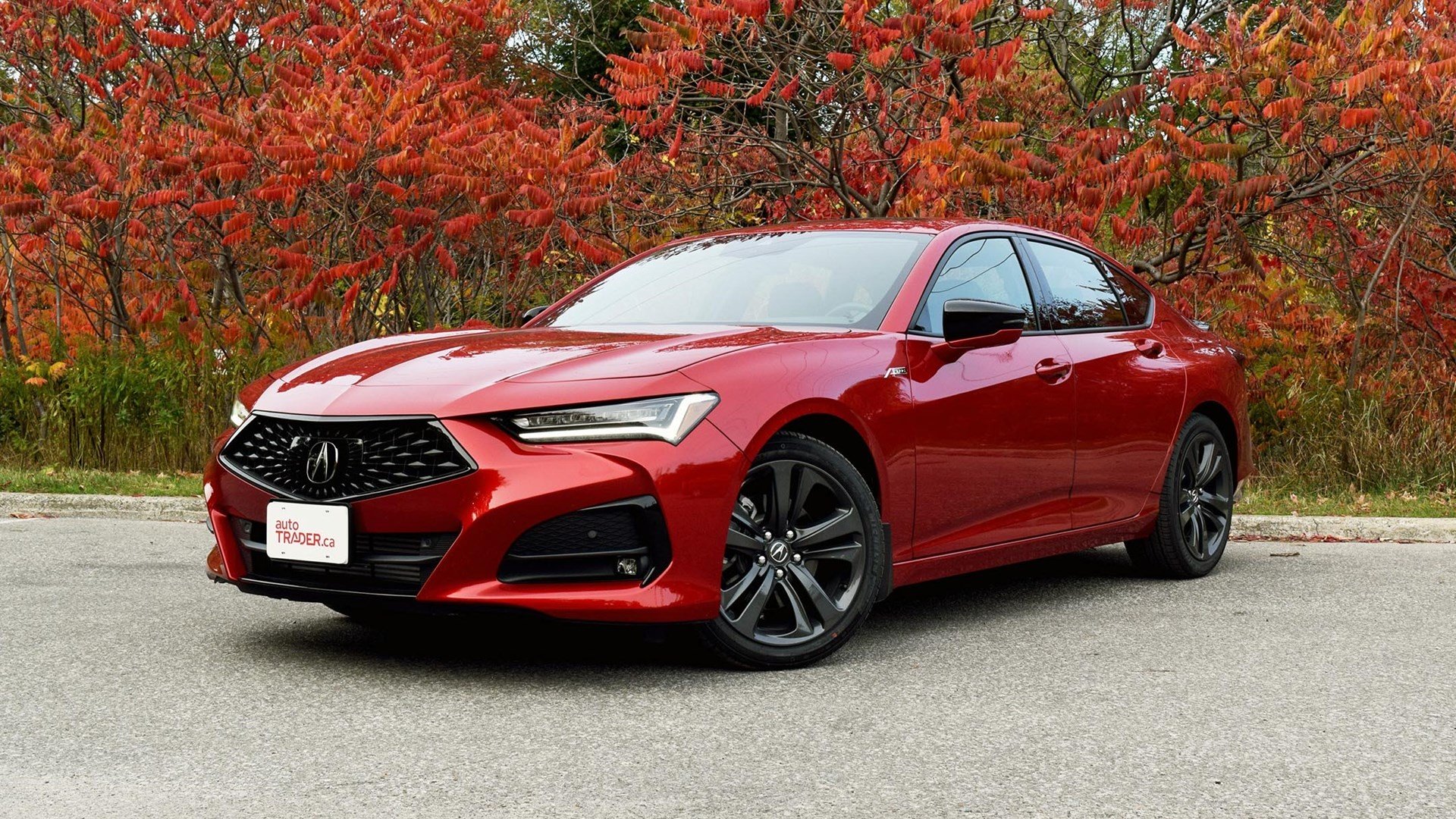 آکورا TLX 2021-2022
