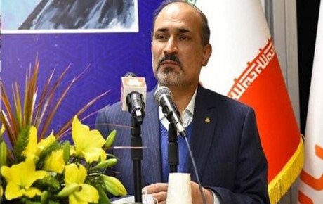 راهکار مدیر عامل سایپا همکاری مشترک ایران خودرو و سایپا