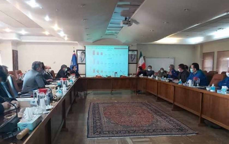 کمیته پایش اقدامات خودروسازان در برنامه های وزارت صمت