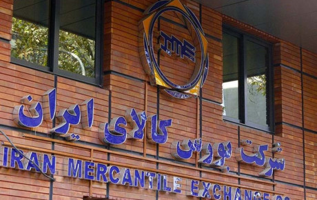 نظر عضو شورای عالی بورس درباره دستورالعمل شورای رقابت