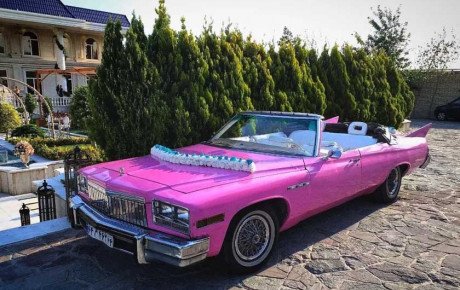 قیمت های عجیب اجاره انواع خودرو