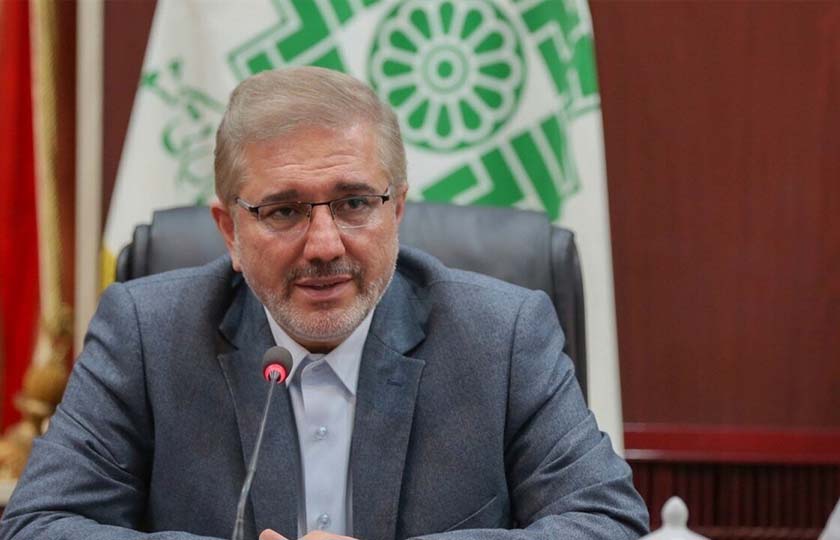 مخالفت رئیس سازمان برنامه و بودجه با واردات خودرو