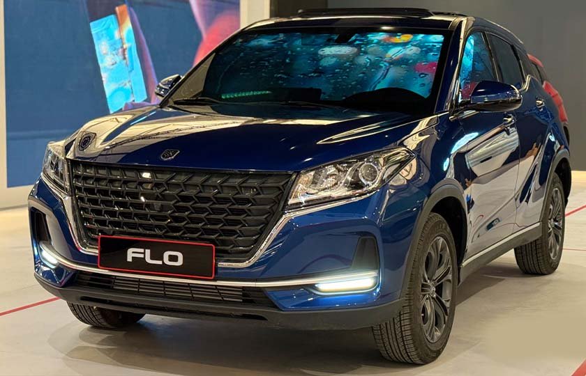 شرایط فروش لاماکو فلو / مهر 1404