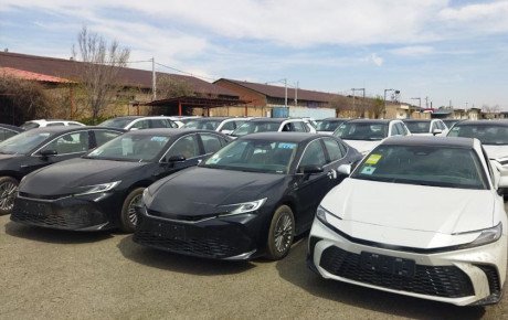 چالش تحقق هدف واردات خودرو؛ پیش‌ بینی کاهش از ۹۰ به ۵۰ هزار دستگاه