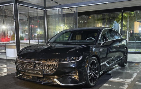 رونمایی وویا پشن در ایران