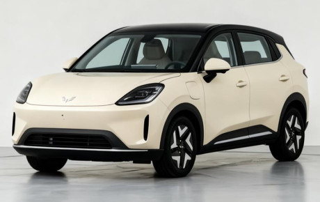 وولینگ بینگو S