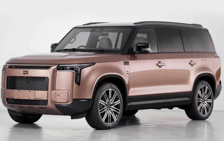 معرفی پول‌ استونز آداماس