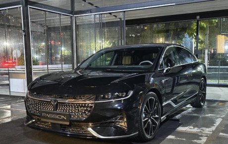 رونمایی وویا پشن در ایران