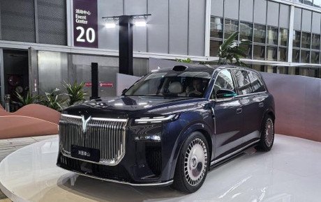 معرفی رسمی وویا تایشان پلاگین هیبرید