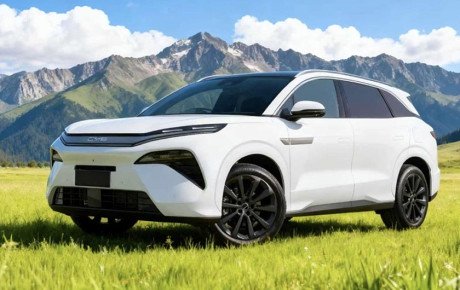 بی‌ وای‌ دی آتو ۸