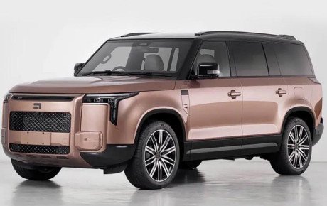 معرفی پول‌ استونز آداماس