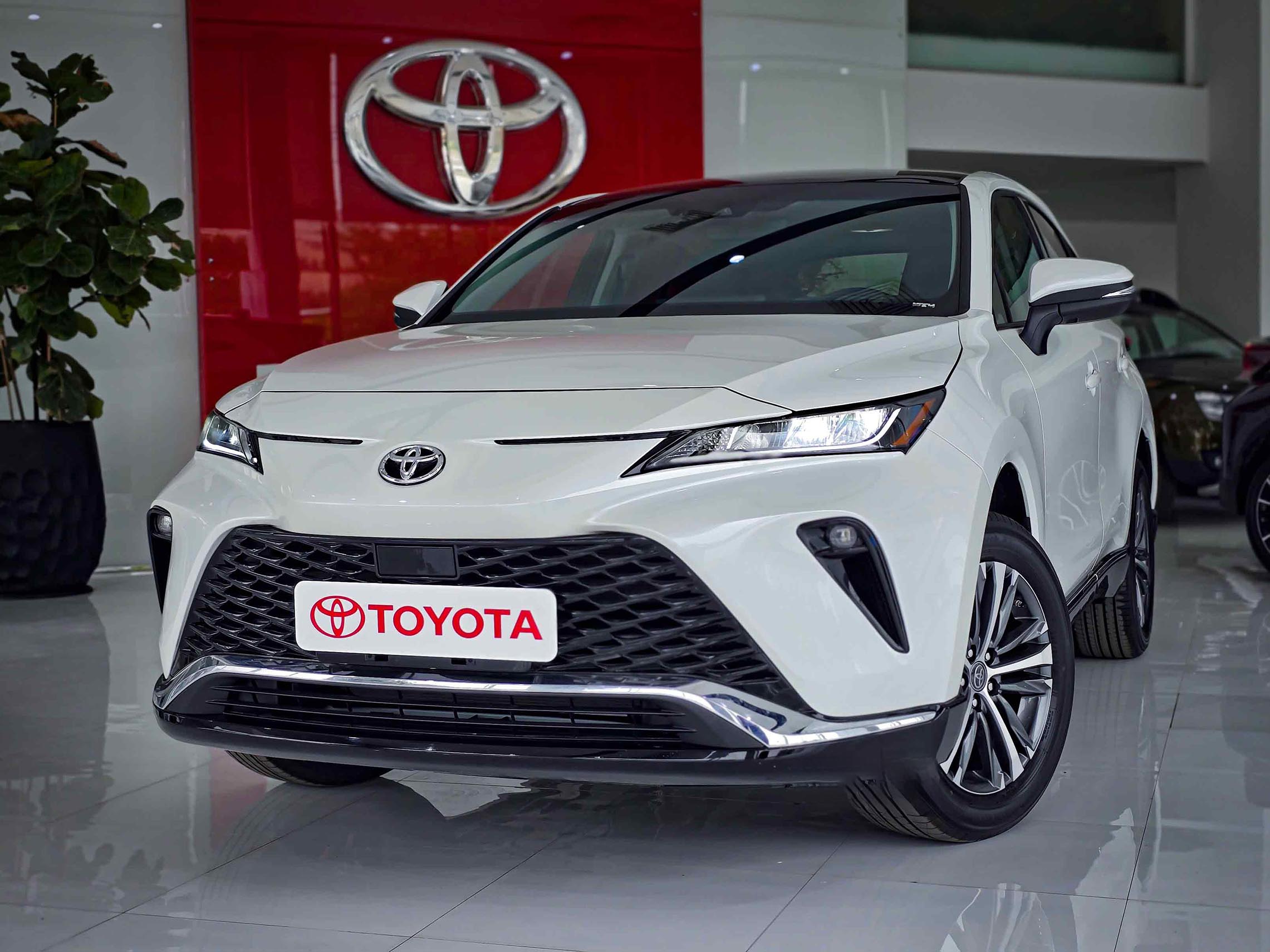 نمای جلو تویوتا ونزا