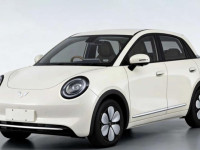 وولینگ بینگو پرو