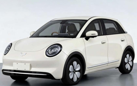 وولینگ بینگو پرو