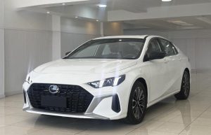  گک امپو هیبرید