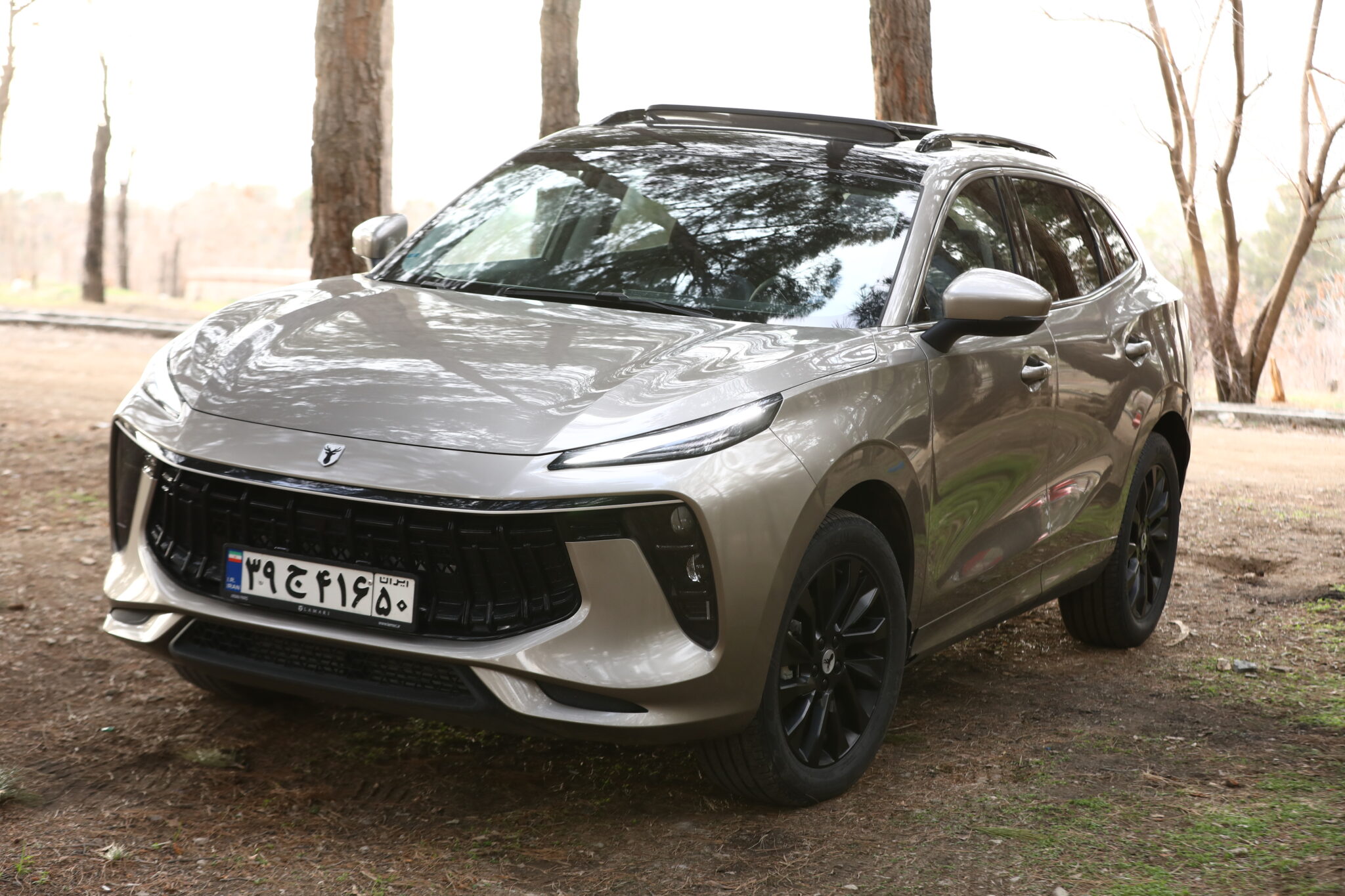 بررسی لاماری ایما