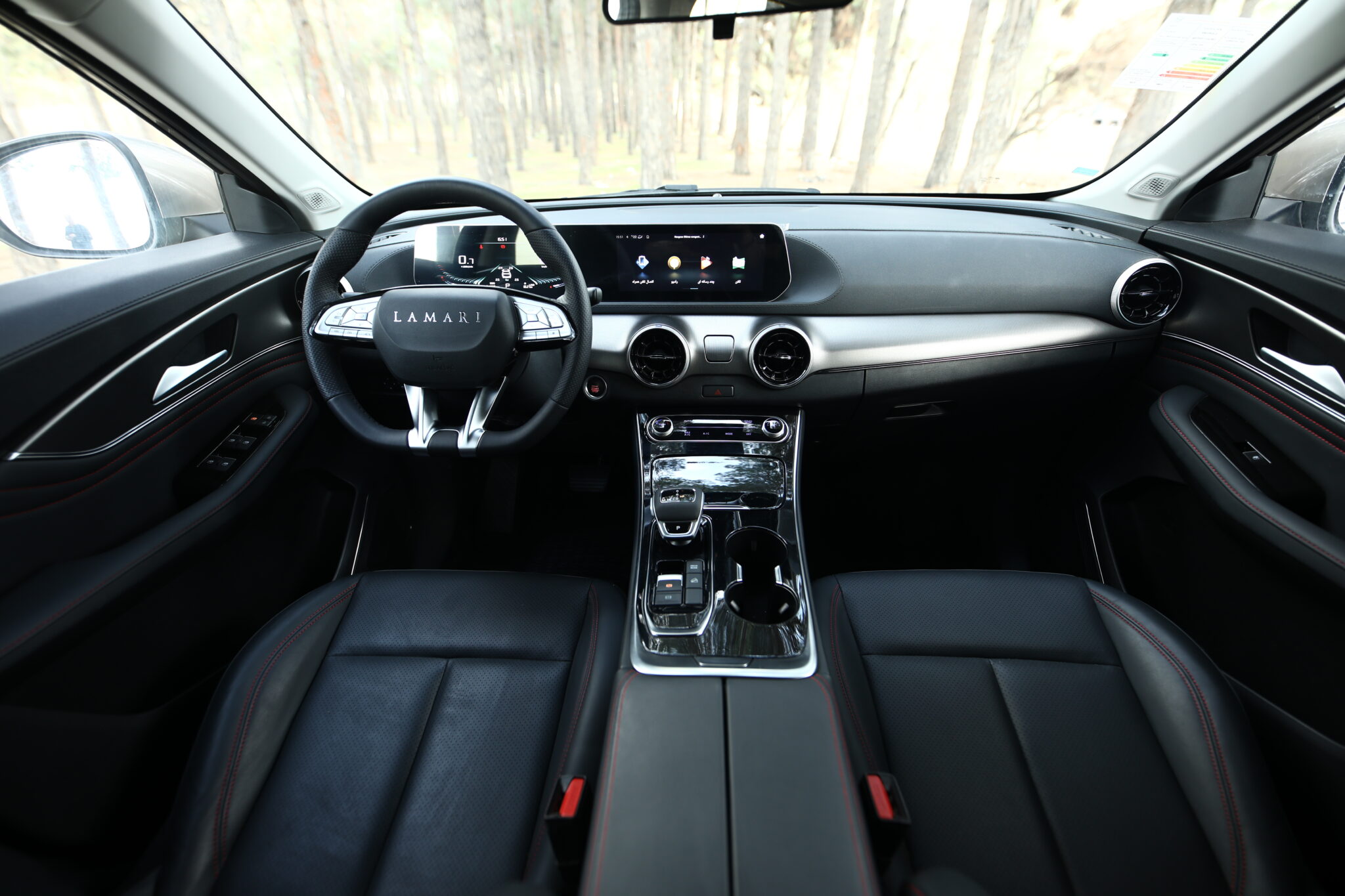 بررسی لاماری ایما