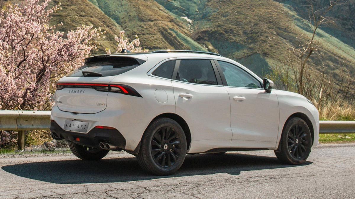 بررسی لاماری ایما