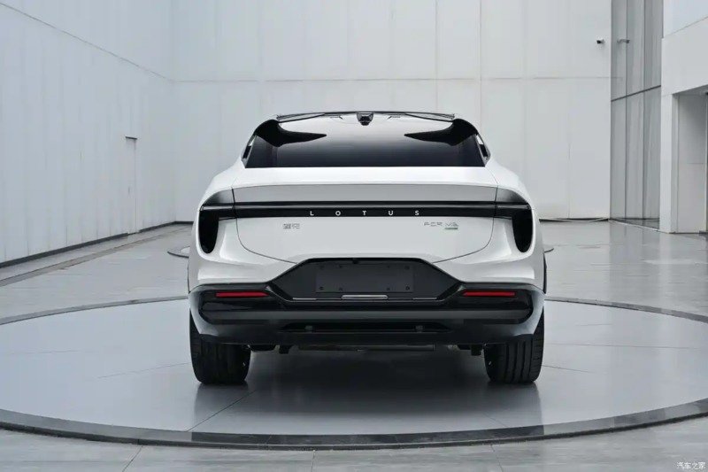 لوتوس التره هیبریدی