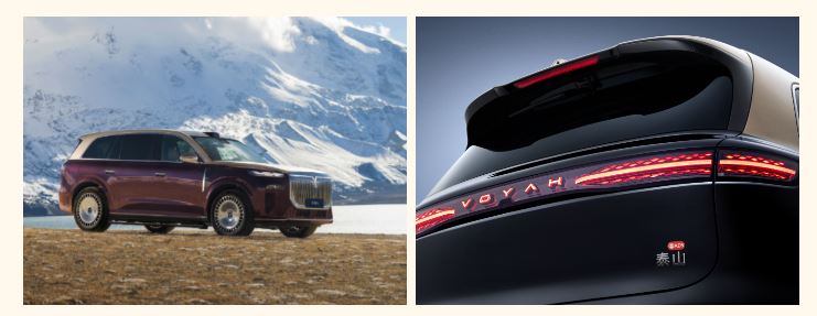 وویا تایشان 8 پلاگین هیبرید