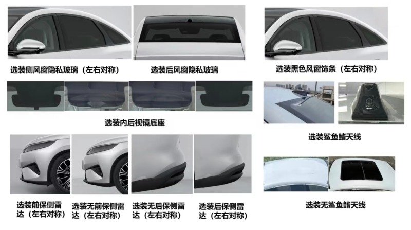 بی وای دی Qin Max