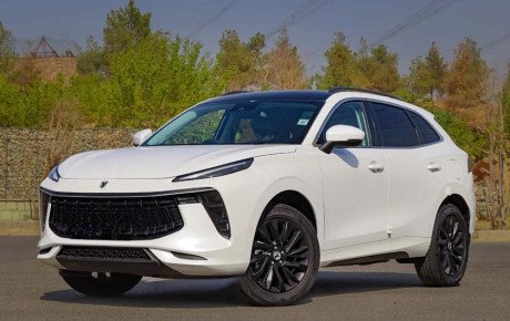 بررسی لاماری ایما همراه با مزایا و معایب آن