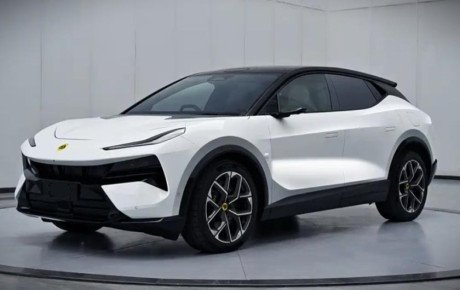 لوتوس التره هیبریدی