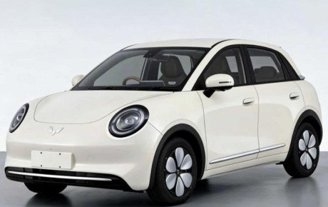 وولینگ بینگو پرو