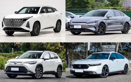 قیمت خودروهای وارداتی در سایت اولویت بندی / بهمن ۱۴۰۴