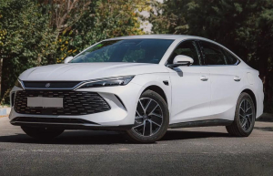  بی وای دی چین ال