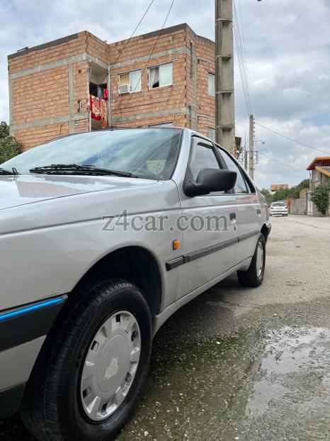 1394 , پژو 405 (GLX) 