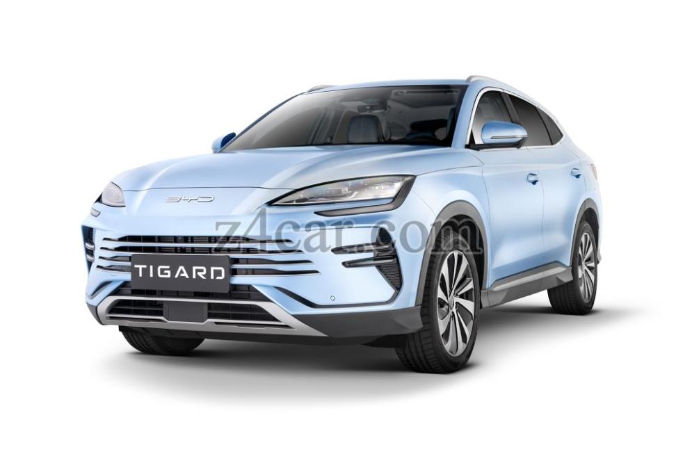 2025 , بی وای دی 